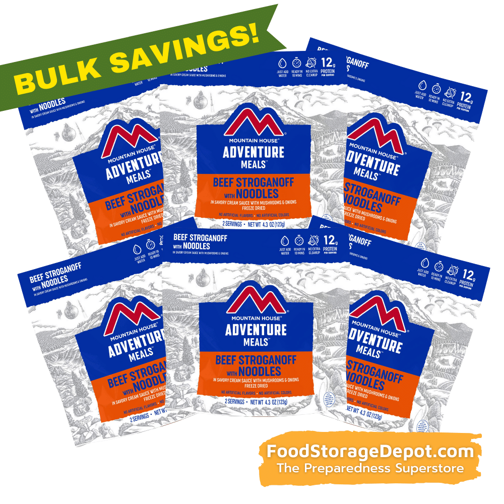 Freeze-Dried Beef Stroganoff Pouch - Mountain House