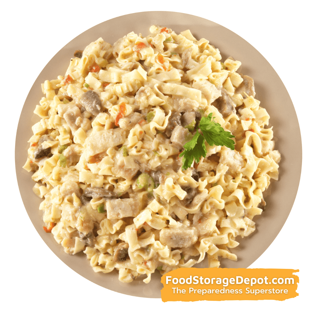 Freeze-Dried Homestyle Chicken Noodle Casserole Can - Mountain House