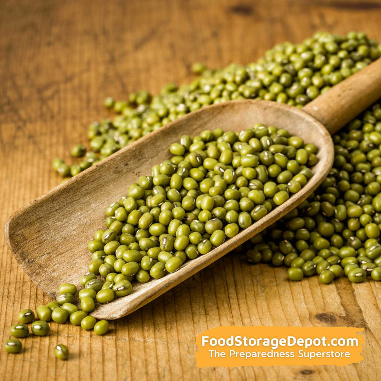 Mung Bean Organic Heirloom Sprouting Seeds (16oz Pouch)