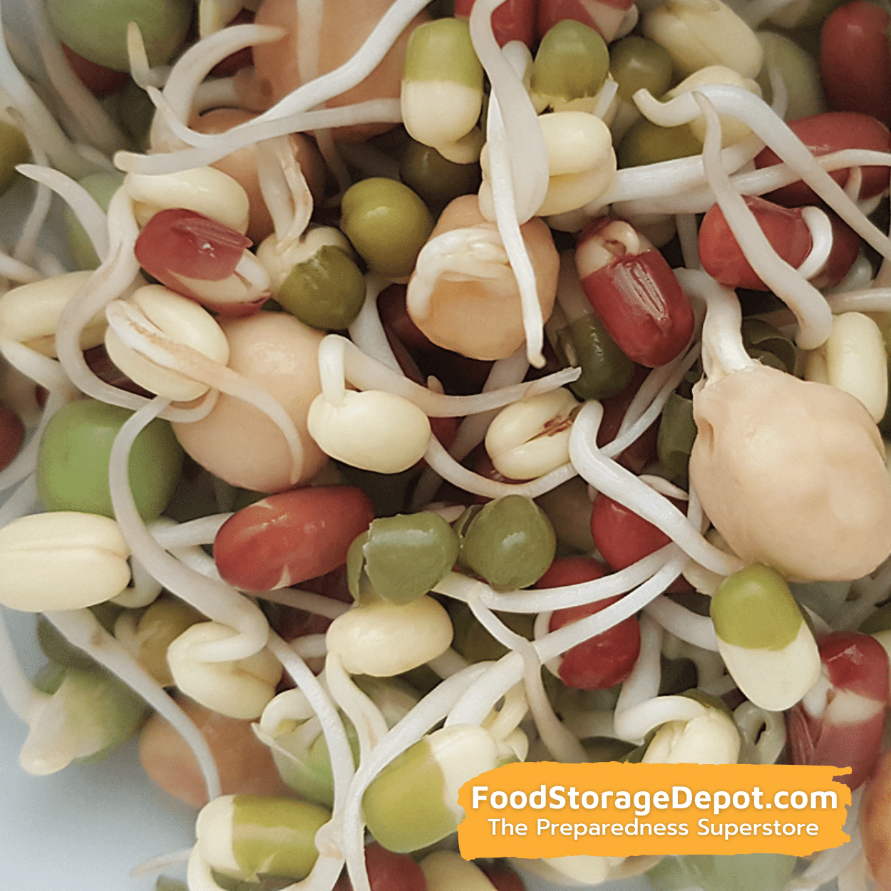 Protein Powerhouse Organic Heirloom Sprouting Seeds (8oz Pouch)