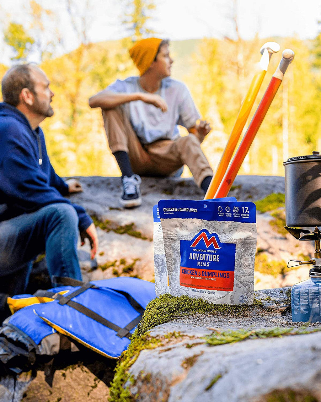 Freeze-Dried Chicken and Dumplings Pouch - Mountain House