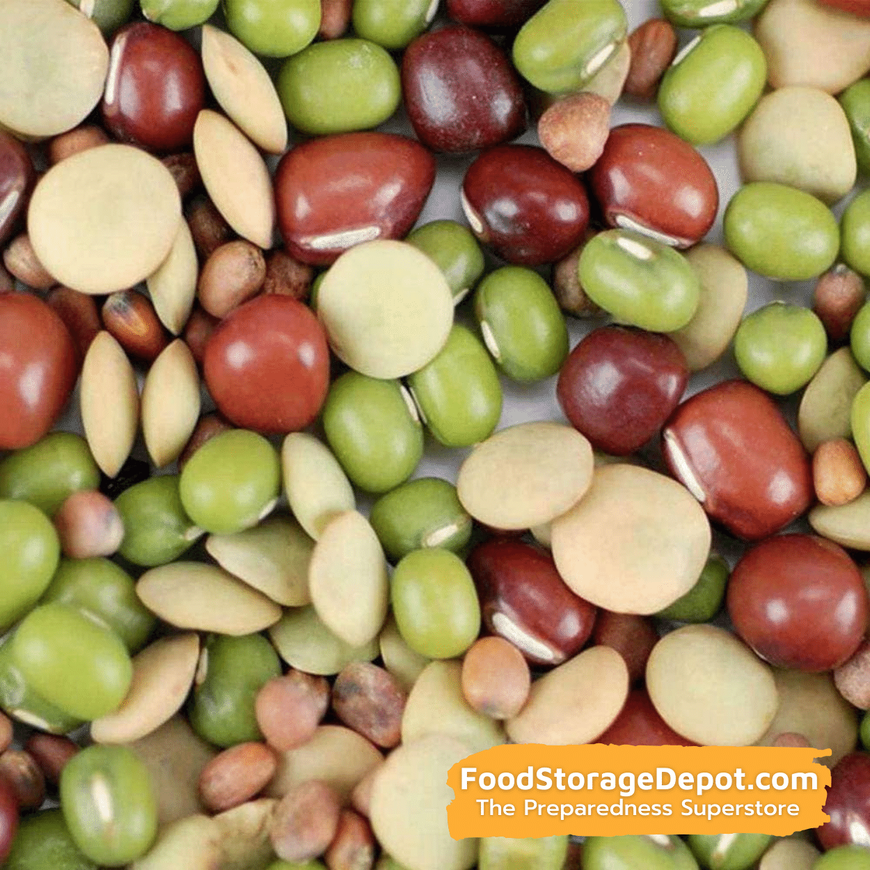 Bean Salad Organic Heirloom Sprouting Seeds (8oz Pouch)