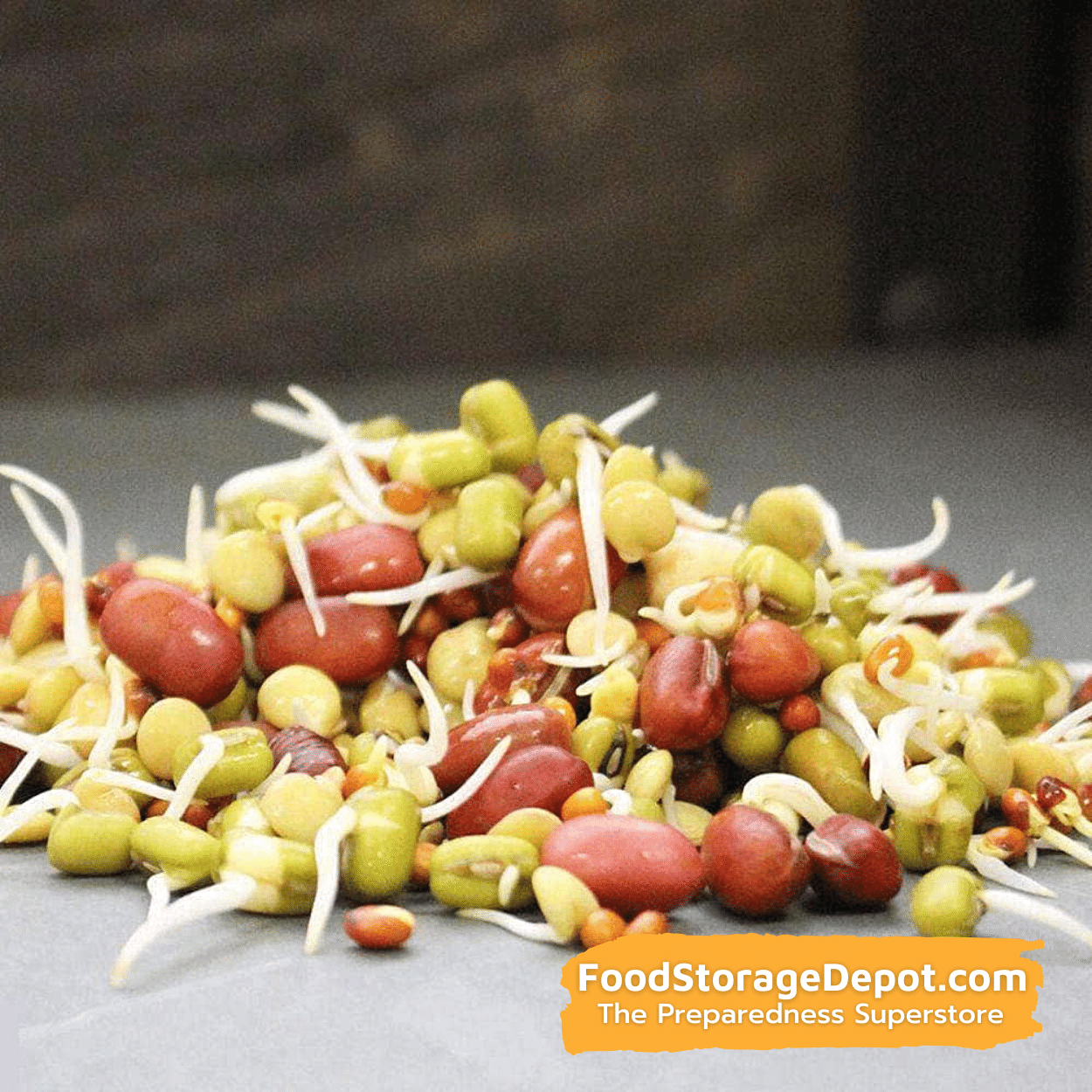 Bean Salad Organic Heirloom Sprouting Seeds (8oz Pouch)