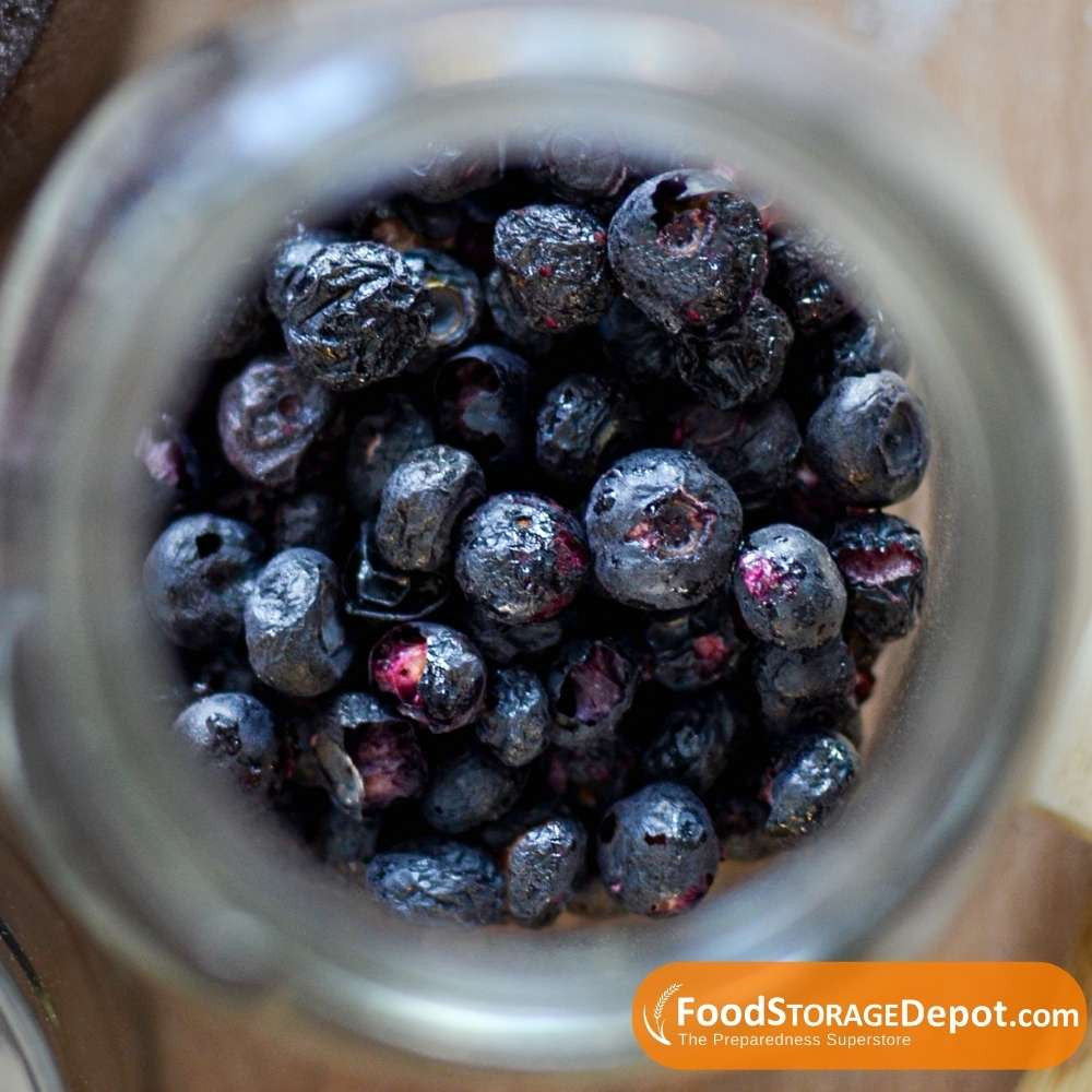 Ready Harvest Freeze-Dried Whole Blueberries (30-Year Shelf Life!)