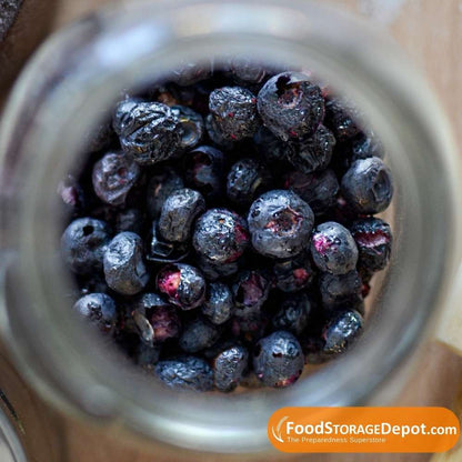 Ready Harvest Freeze-Dried Whole Blueberries (30-Year Shelf Life!)
